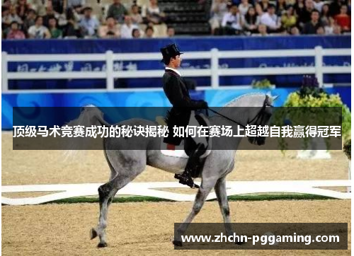 顶级马术竞赛成功的秘诀揭秘 如何在赛场上超越自我赢得冠军